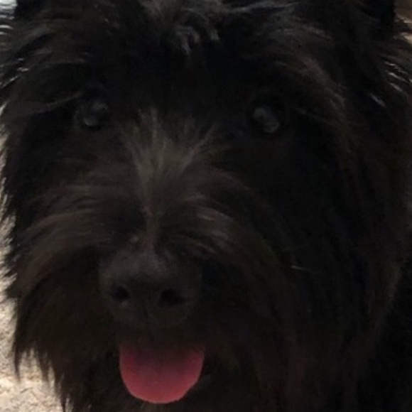 Meet your Posher, Von - Picture 1 of 1